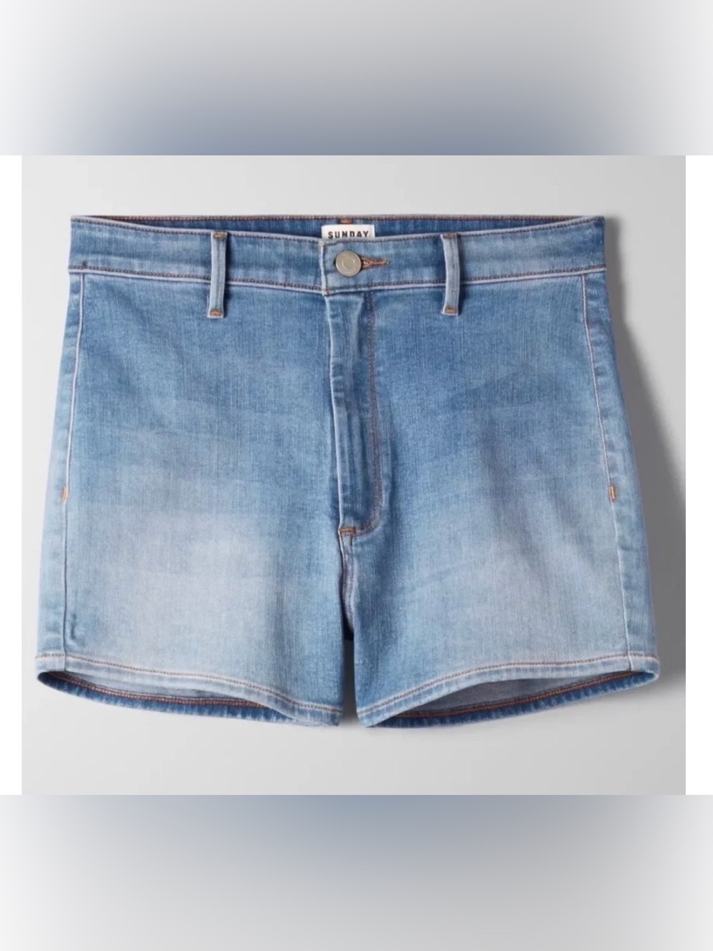 Aritzia Sunday Best Molly Denim Shorts